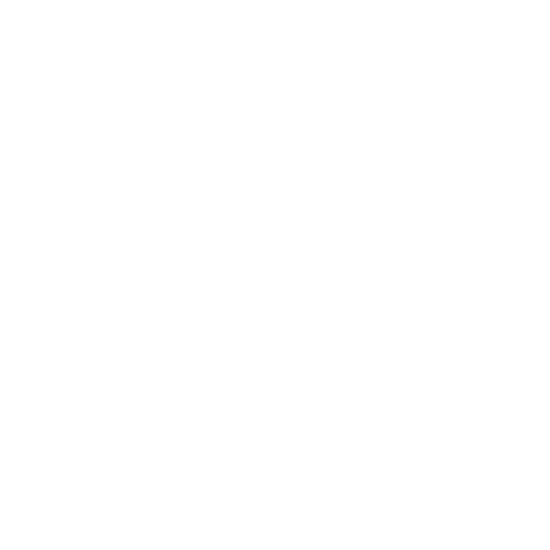 DRIMON Interim Management & Ondersteuning
